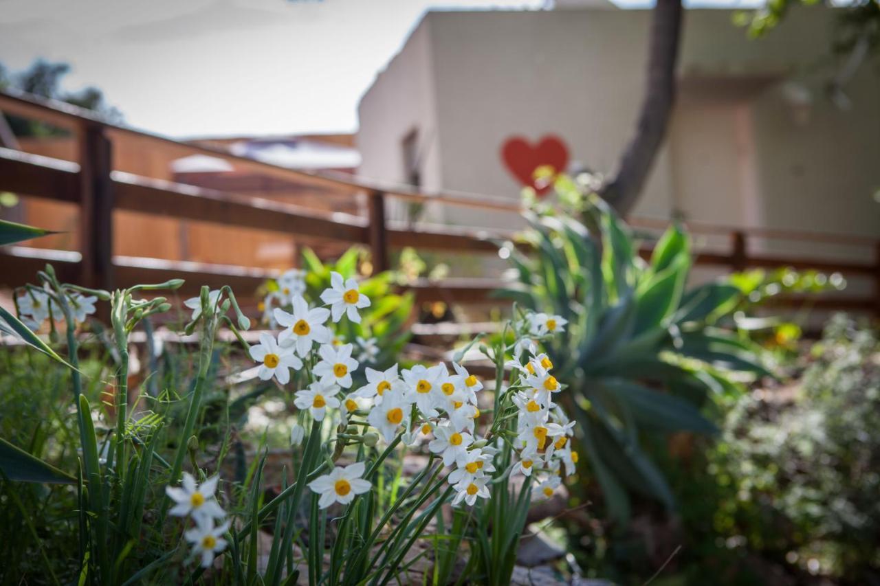 Connected Guest House アミリム エクステリア 写真